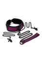 WHIPSMART DRAGON'S LAIR COLLAR, LEASH & NIPPLE CLIPS SET