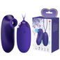 Fioletowe silikonowe jajeczko wibrujące Pretty Love Orthus Youth USB