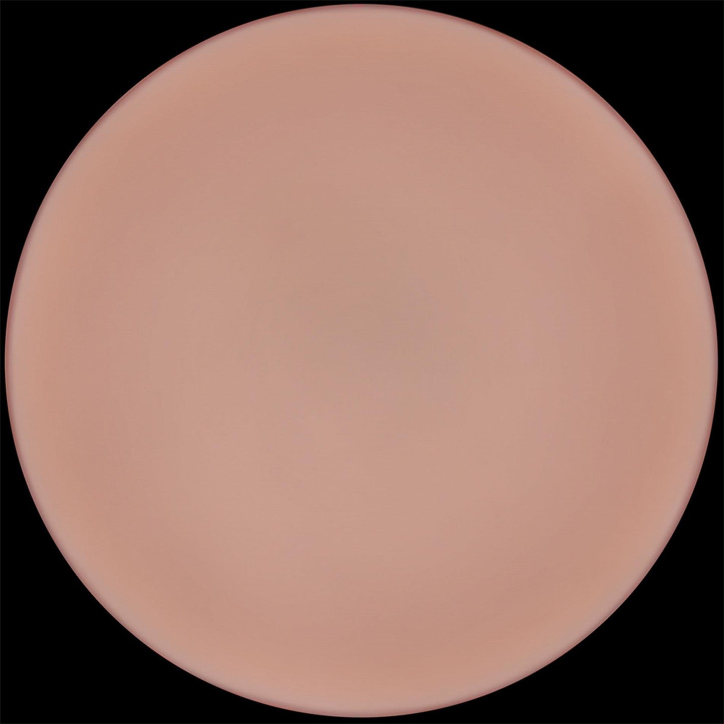 9'' Sliding Skin Pro II Dual Layer Silicone Dong