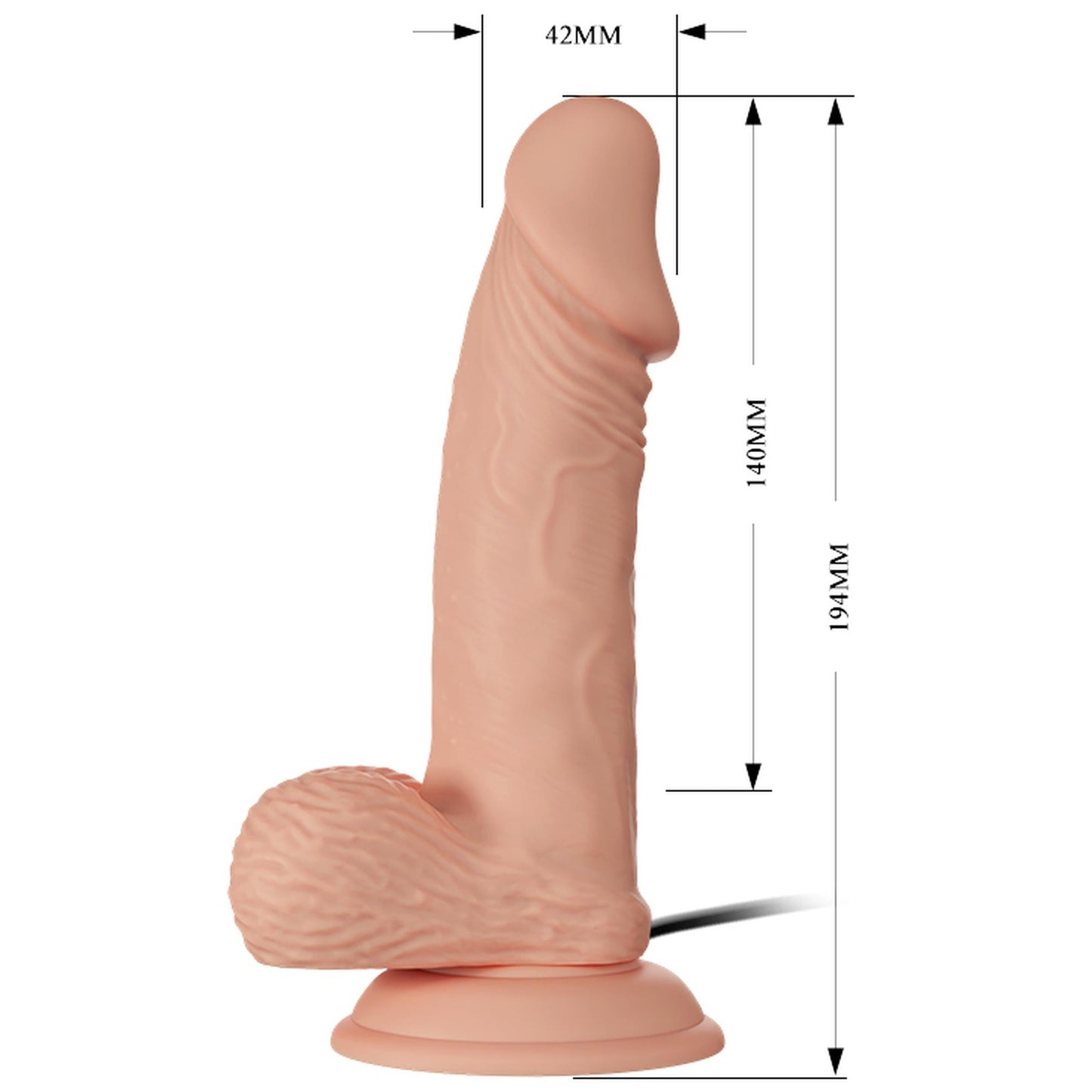 BAILE-Beautiful Zebulon Vibration 7.6""""