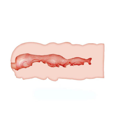 Masturbator pochwowy realistyczny Crazy Bull Isabel cielisty 13.5 cm